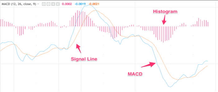 Backtrader-MACD-Overview-trading